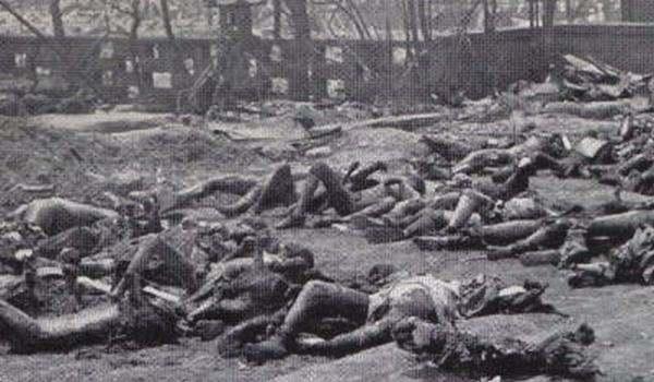 山城味蕾探险记，重庆火辣热情之旅