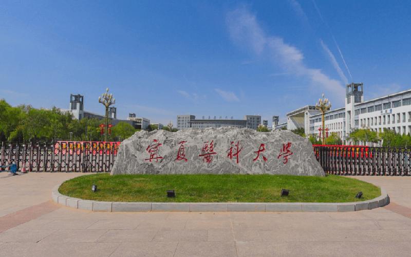 宁夏，心驰神往的绝美风景画卷