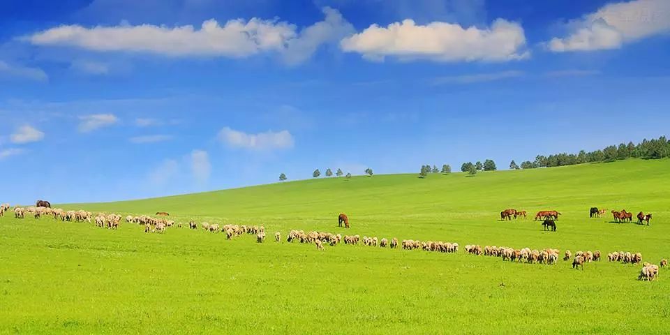 呼伦贝尔，草原之心的壮丽世界探索之旅